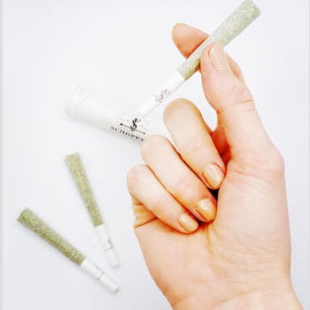 Pre-Roll - Strain Specific CBD Flower (0.8g)